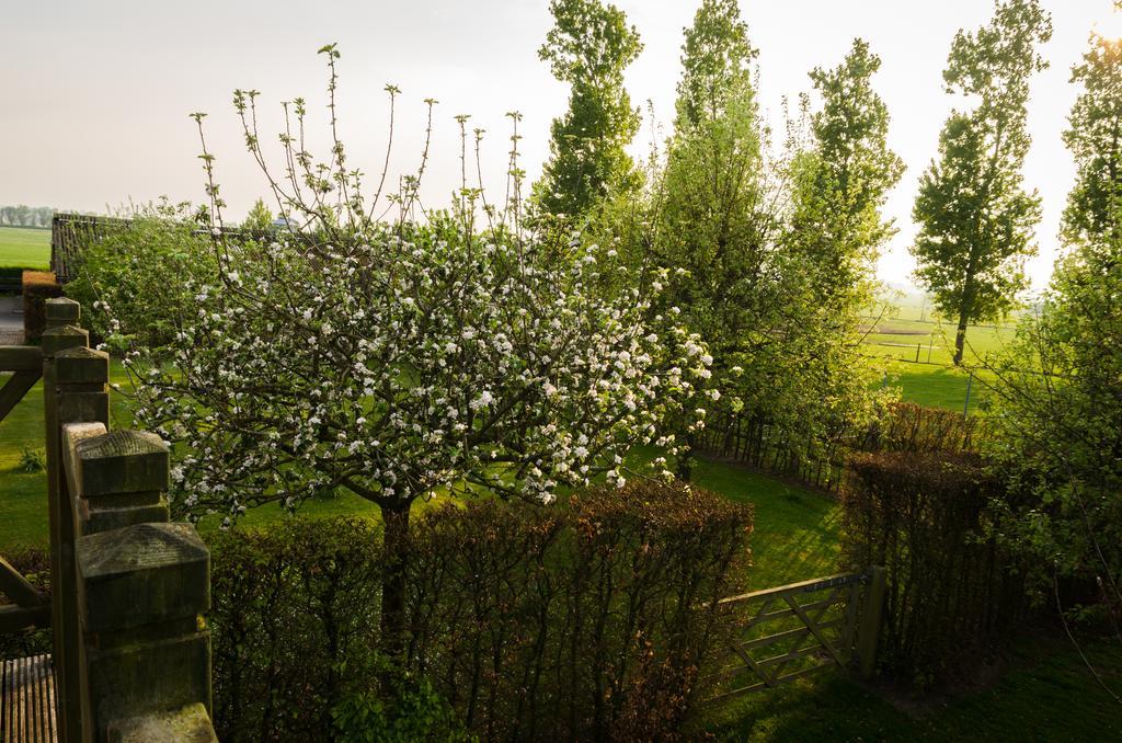 De Groote Waere Hotel Diksmuide Exterior foto